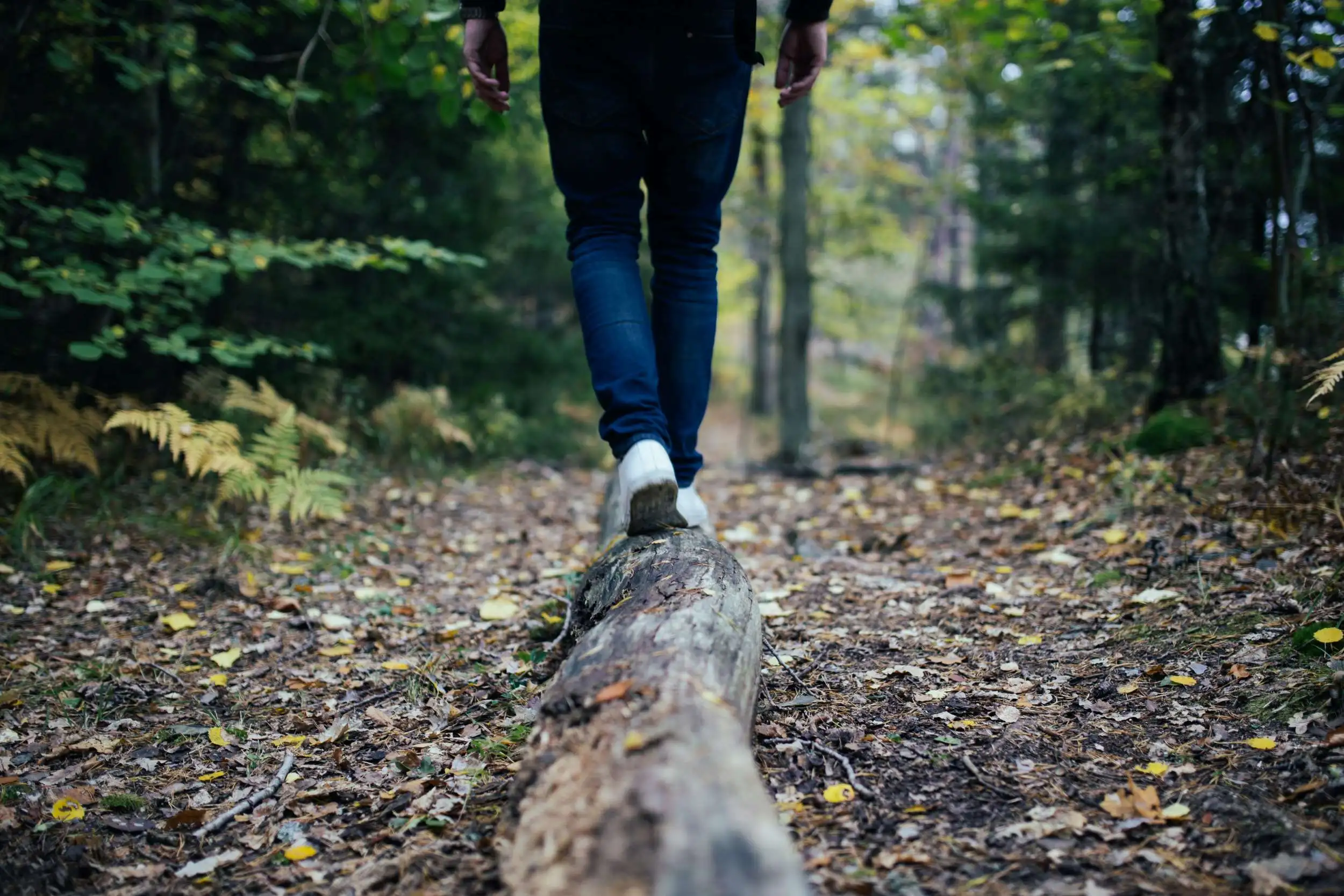 Ein Mensch balanciert auf einem Stamm im Wald. Er trägt weiße Schuhe und eine blaue Jeans.