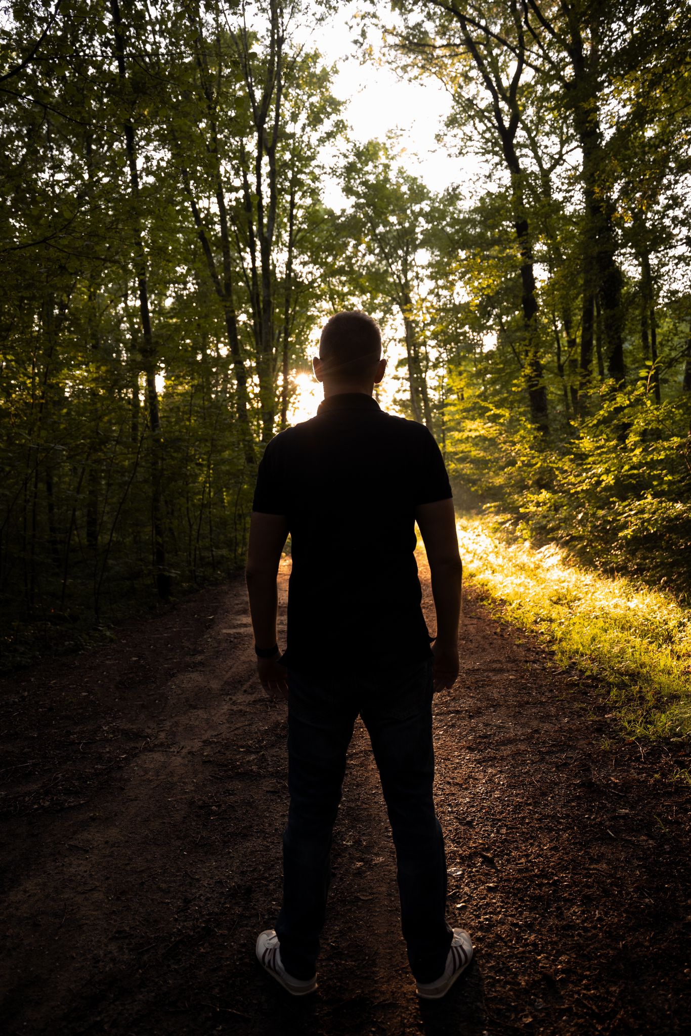 Beziehungscoach und Paarberater Martin Sosnowski steht im Wald. Man sieht ihn nicht direkt, nur die Silhouette. Durch den Einfall des Lichts wird der selbstbewusste Auftritt verstärkt.